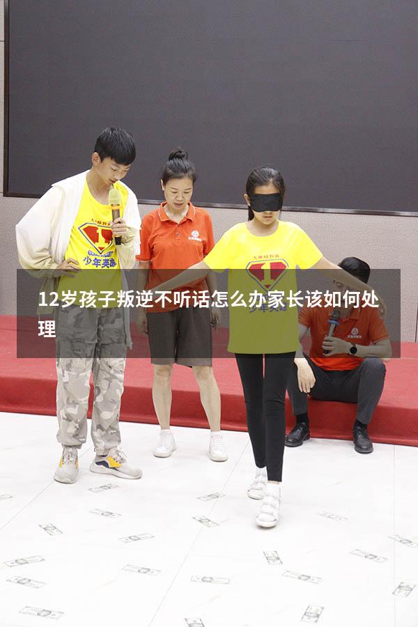 12岁孩子叛逆不听话怎么办 家长该如何处理